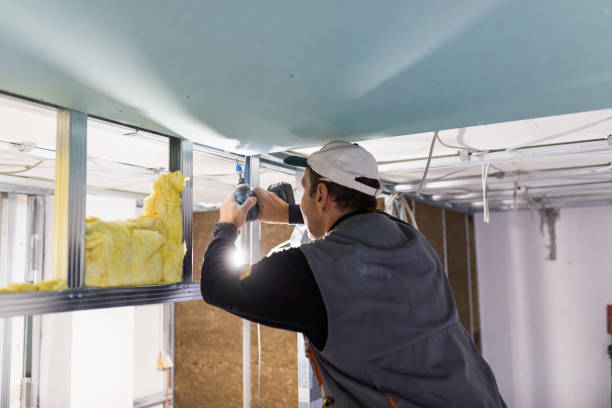 Best Insulation Maintenance and Repair in Batavia, IL